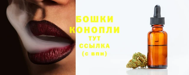 не бодяженный Нефтегорск