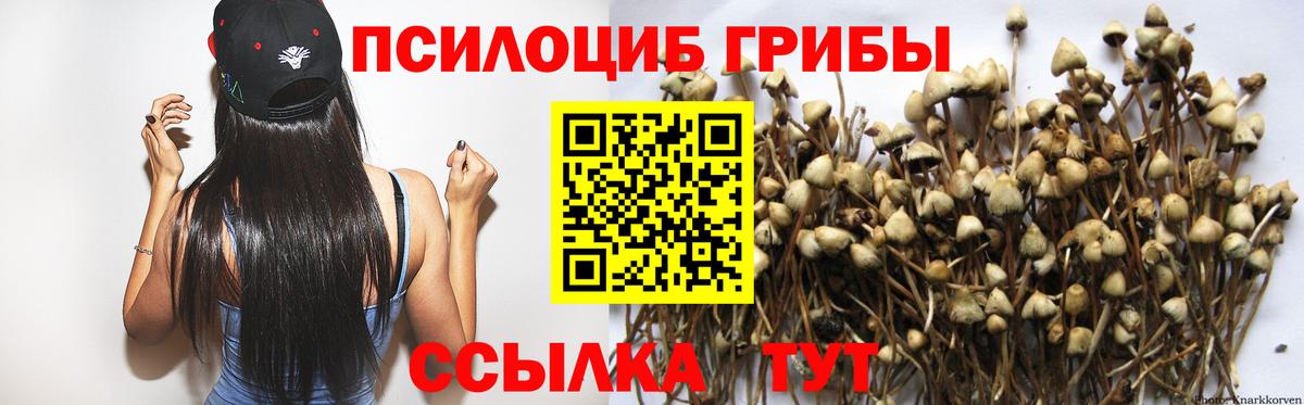 Галлюциногенные грибы Psilocybine cubensis  Галлюциногенные грибы GOLDEN TEACHER  Пыть-Ях  Вход с VPN 